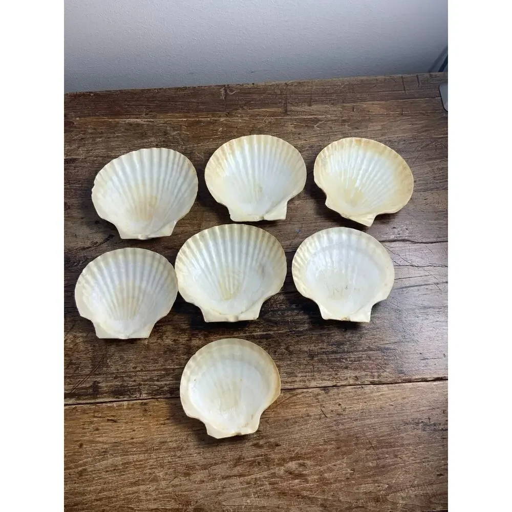 Mid Century Natural Shell Appetizer Plates set of 7